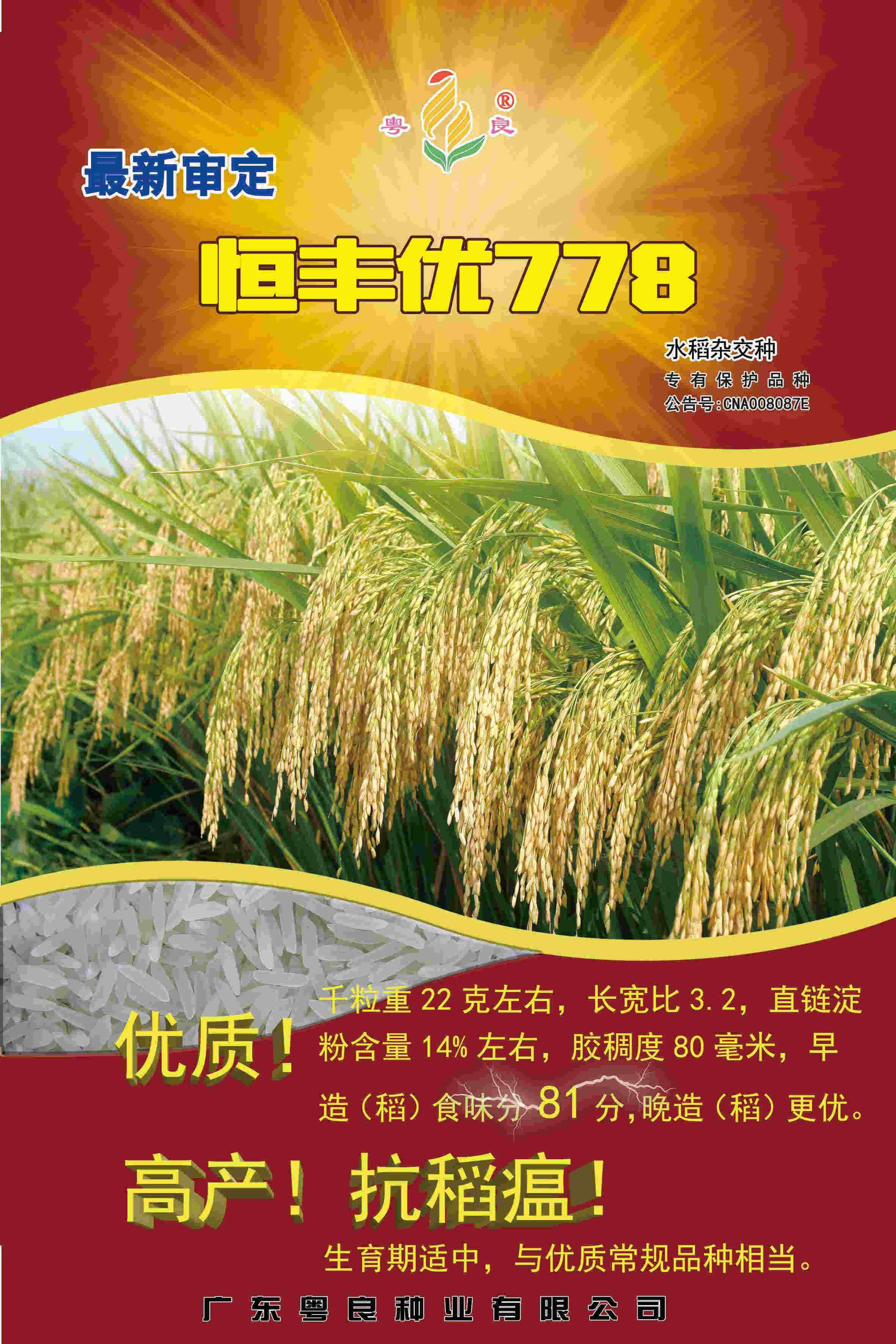 恒丰优778