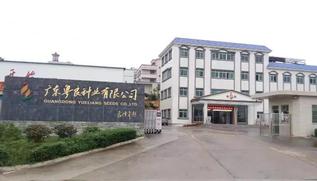 刘康平：面向目标市场定向选育最适合的水稻品种