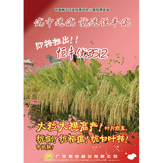 恒丰优3512