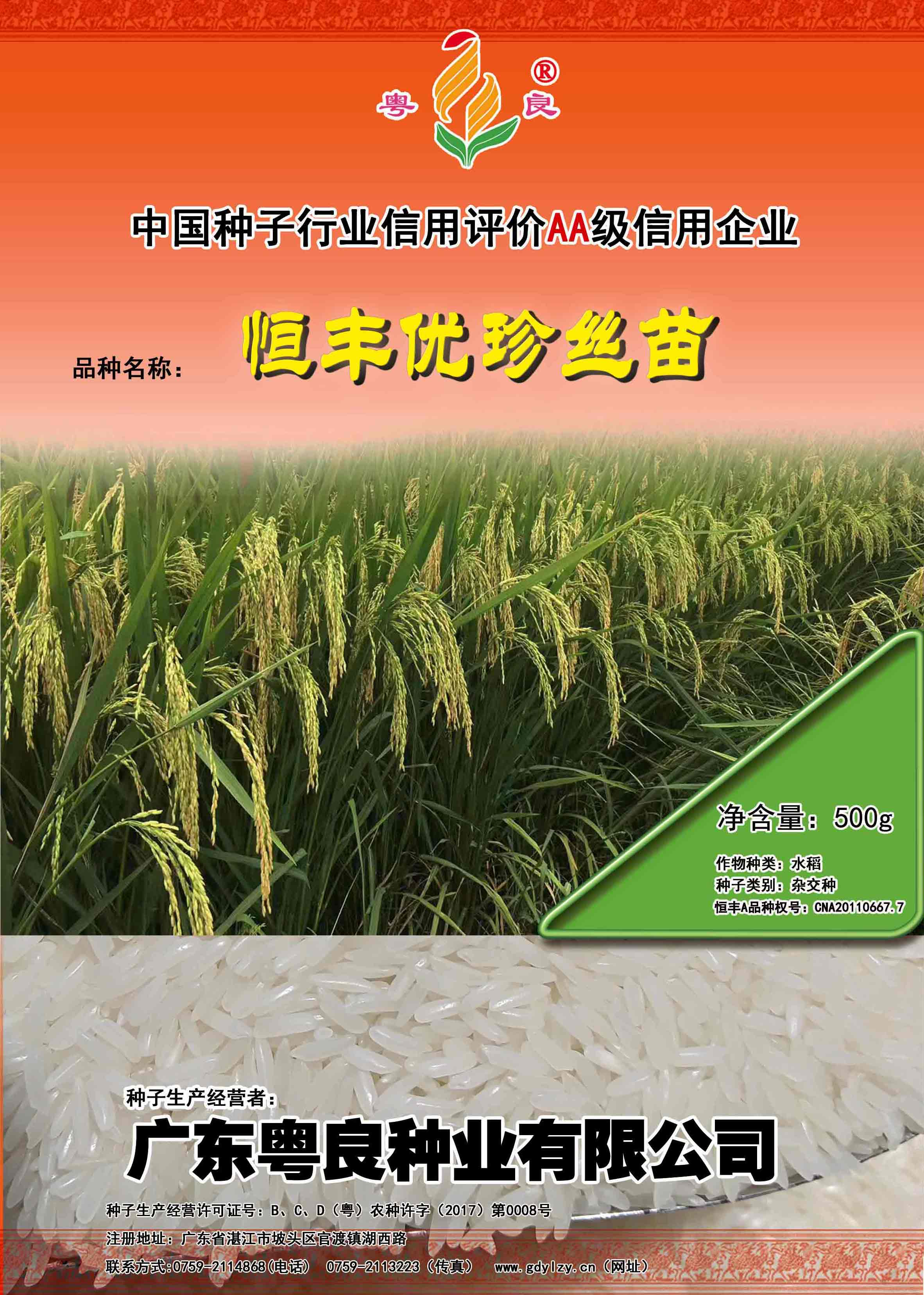 即将上市恒丰优珍丝苗.jpg